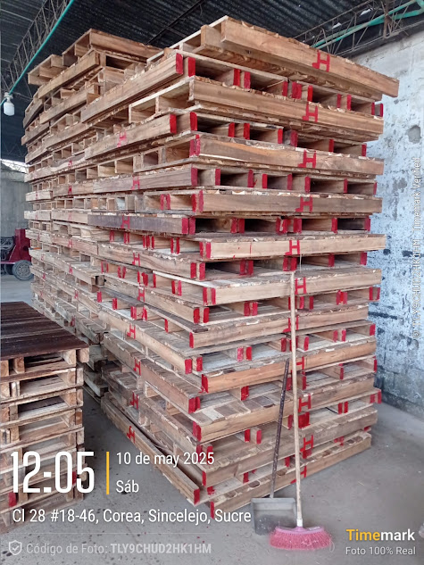 Inventario de formaletas de madera organizado en la sede